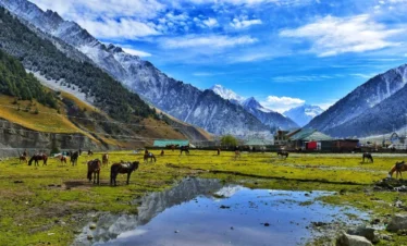Discover Golden Triangle Kashmir Tour with VTSPL
