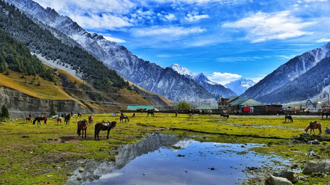 Discover Golden Triangle Kashmir Tour with VTSPL