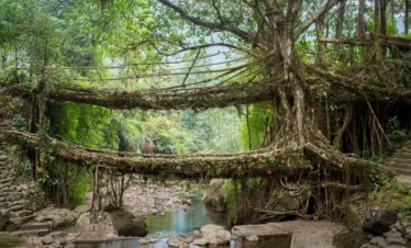 Discover Shillong Cherrapunjee Guwahati Tour with VTSPL