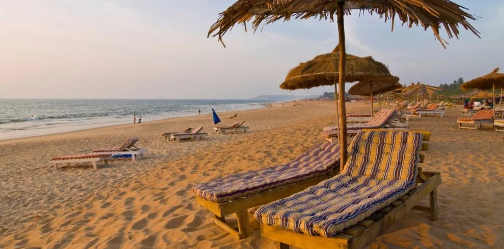 Discover Goa Beach & Nature Tour with VTSPL