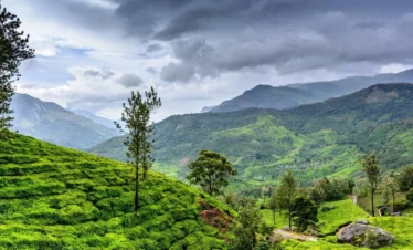 Discover Mumbai Kerala Tour Package with VTSPL