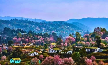 Discover Meghalaya Tour from Guwahati with VTSPL