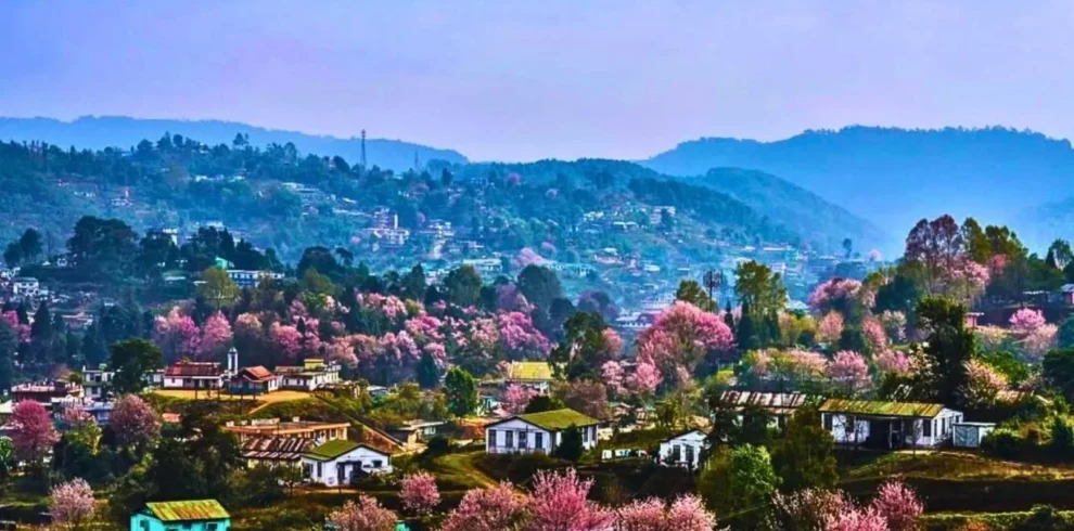 Discover Meghalaya Tour from Guwahati with VTSPL