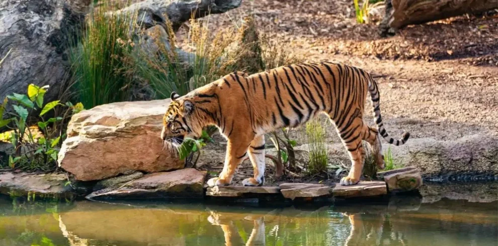 Discover Shillong Guwahati Kolkata tour with VTSPL