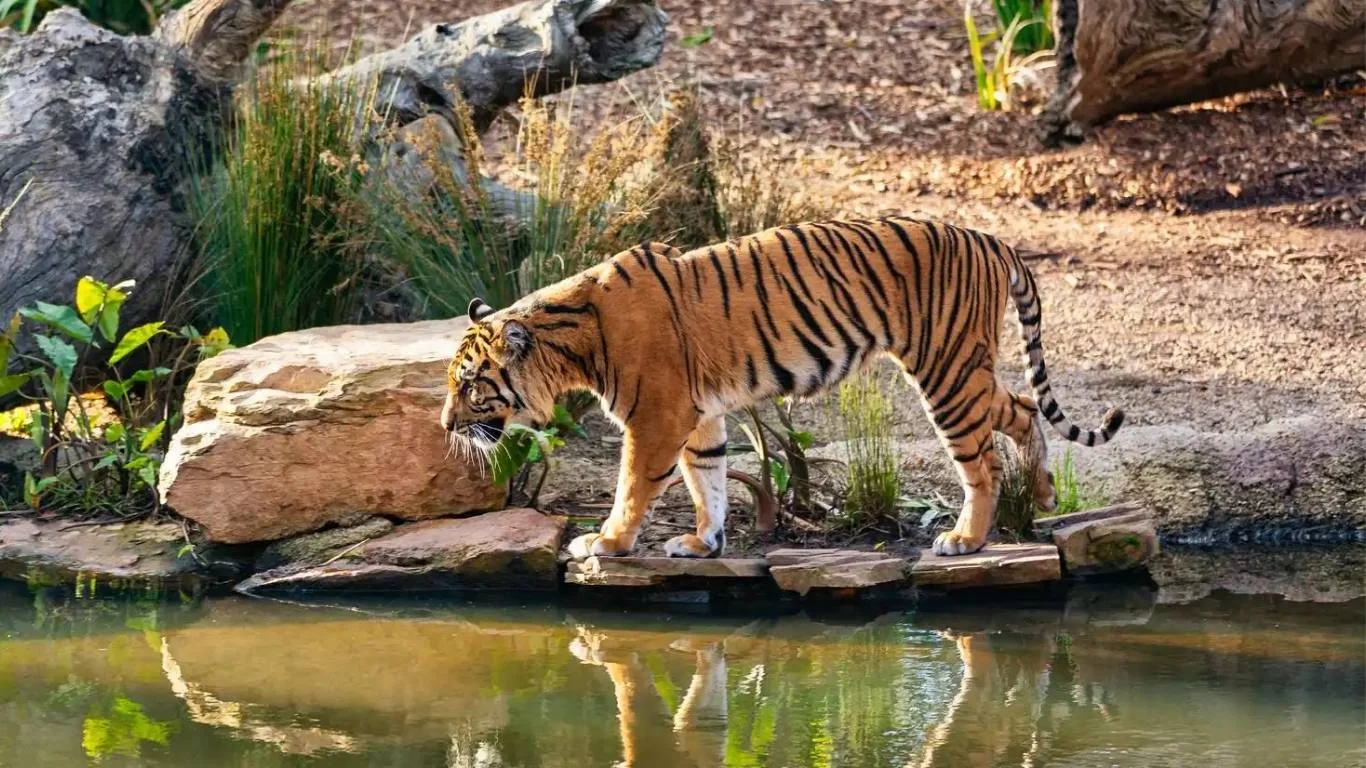 Discover Shillong Guwahati Kolkata tour with VTSPL