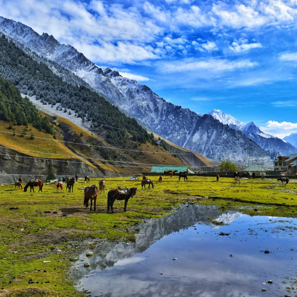 Horse riding India Activities