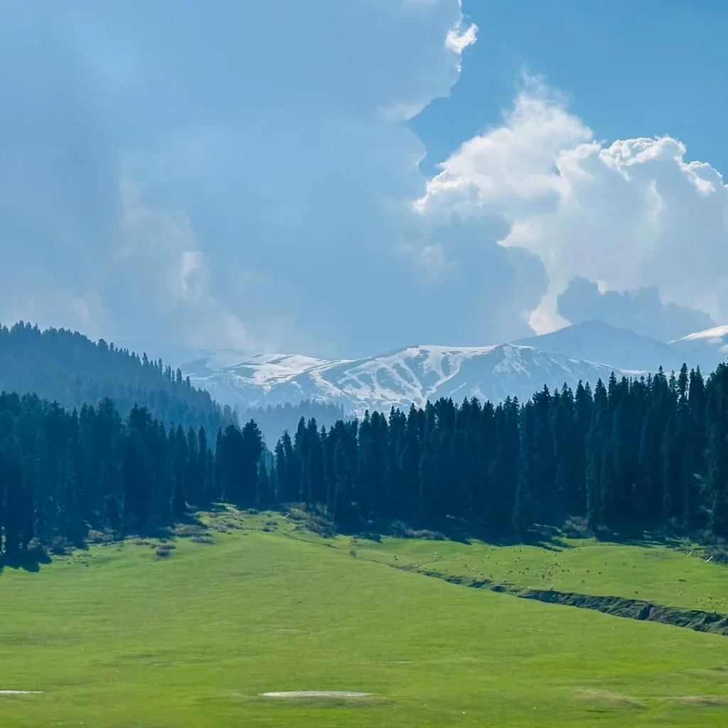 Doodhpathri Tour Packages