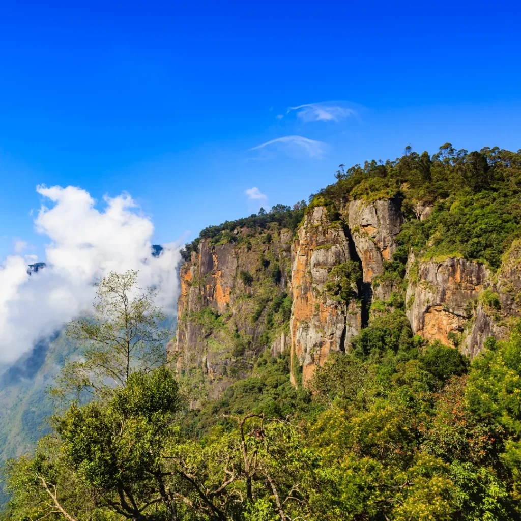 Kodaikanal Tour Packages