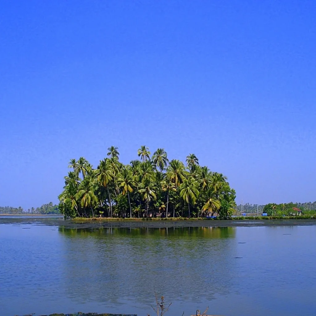 Kumbalangi Tour Packages