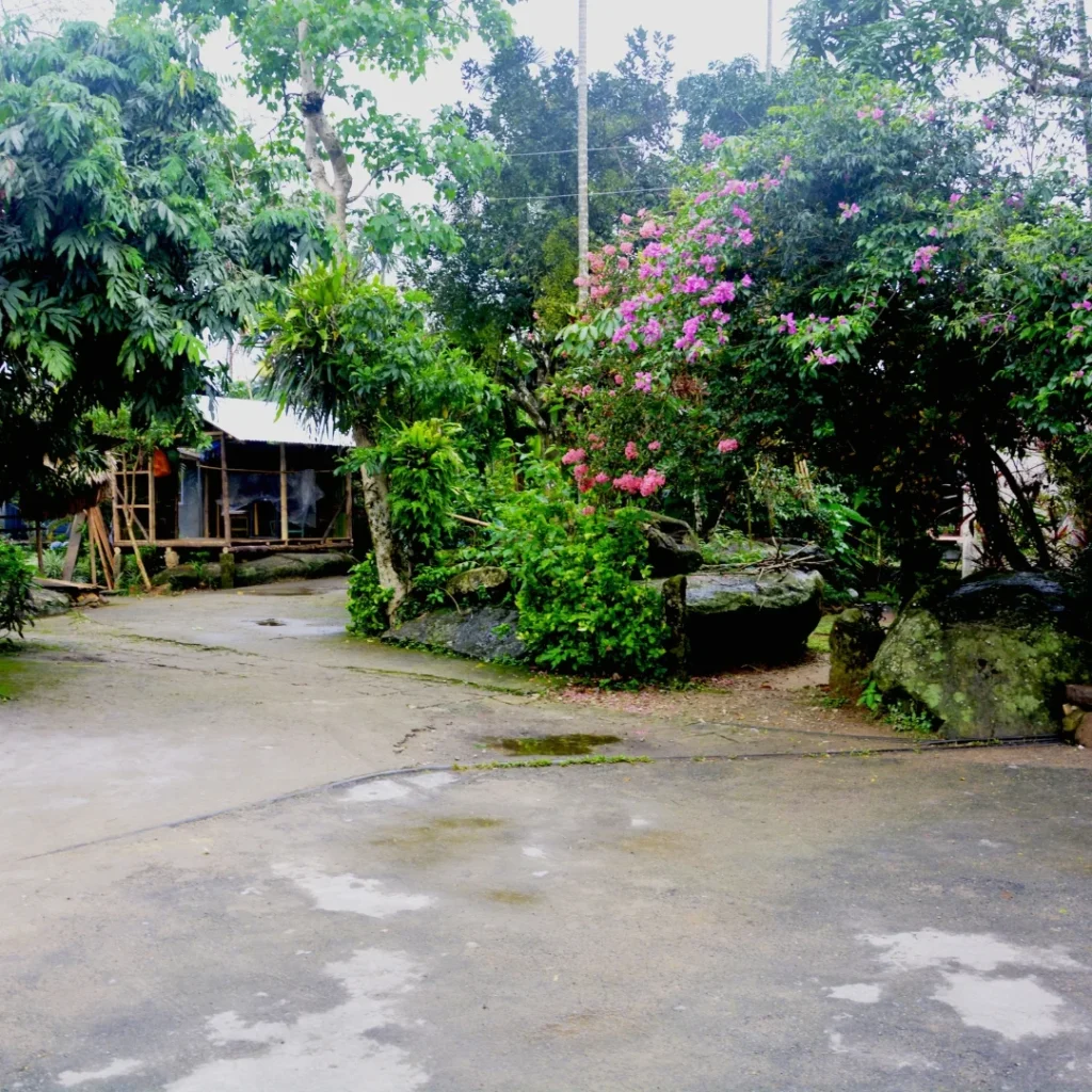 Mawlynnong Tour Packages