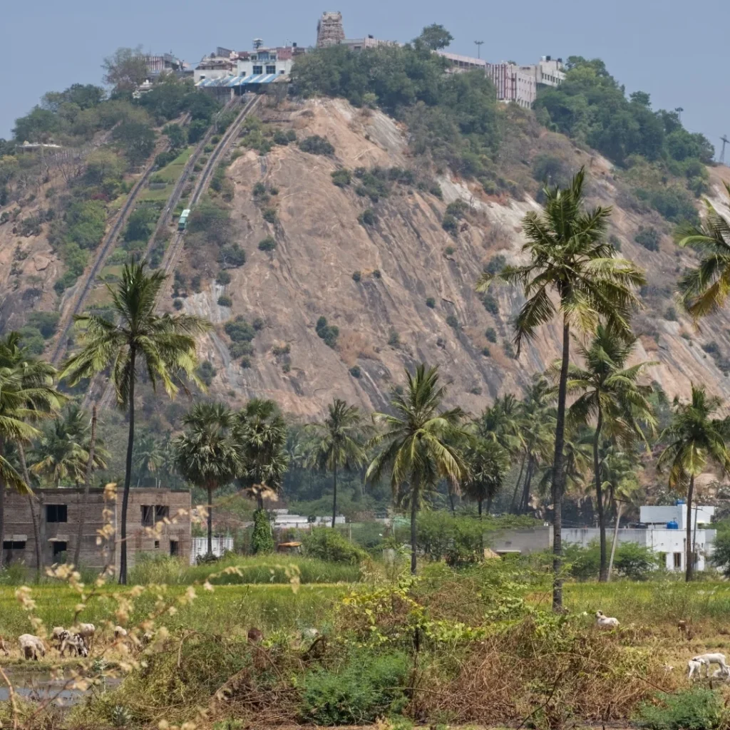 Palani Tour Packages